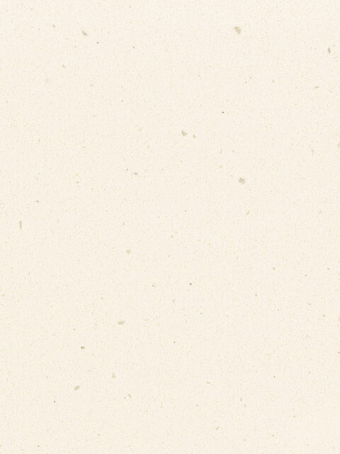 Corian Rice Paper | TTS Surfaces MX